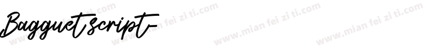 Bagguet script字体转换